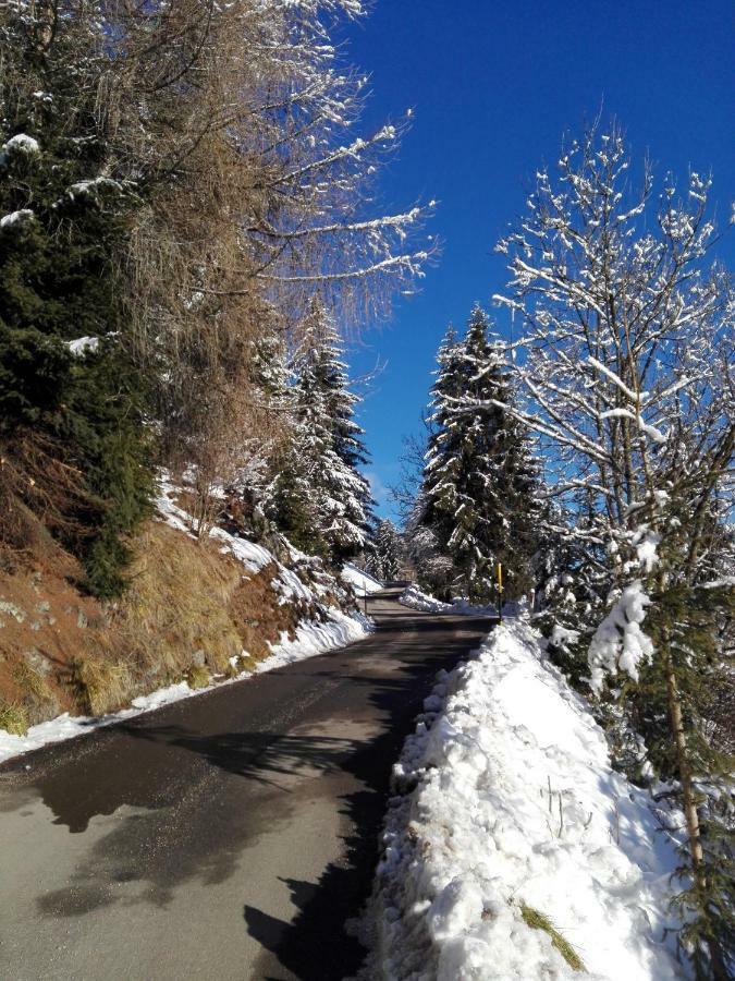 Wegscheiderhof Lägenhet Toblach Exteriör bild